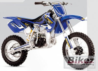 2007 factory bike minidesert rc14 photo